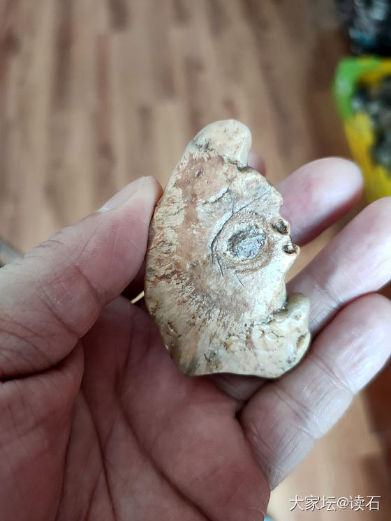 不上班在家里挑出来的象形石_戈壁玛瑙
