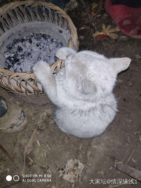 今天好多超前消费的贴，感触太大了。_闲聊