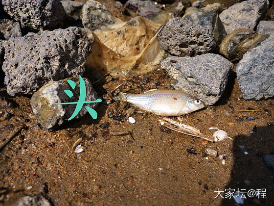 陪儿子去玩沙子_原石