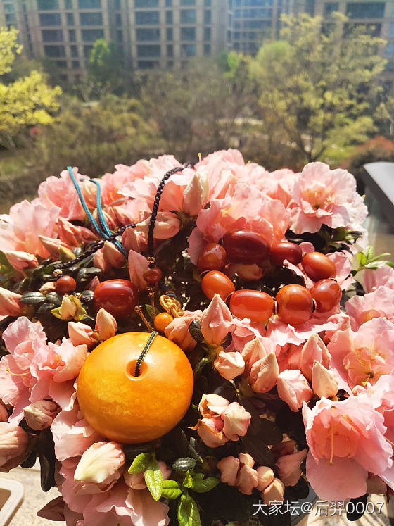 春暖花开_蜜蜡琥珀蜜蜡