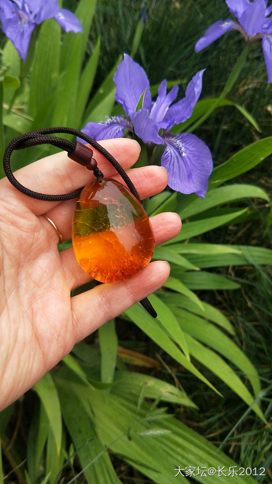 金珀，拔草了_琥珀