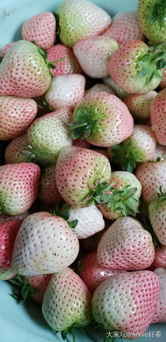 草莓_水果