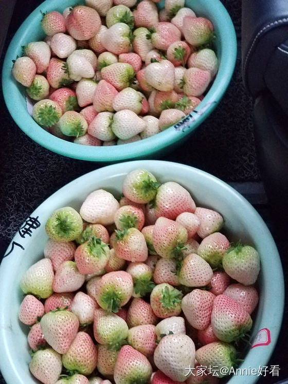 草莓_水果