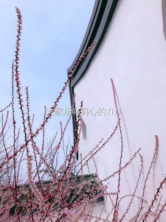 再秀最后一波春色，初夏已降临🌷🌱🌾