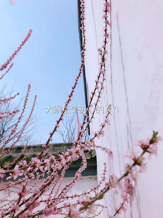 再秀最后一波春色，初夏已降临🌷🌱🌾