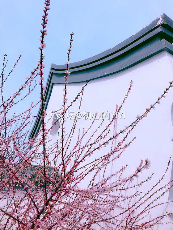 再秀最后一波春色，初夏已降临🌷🌱🌾