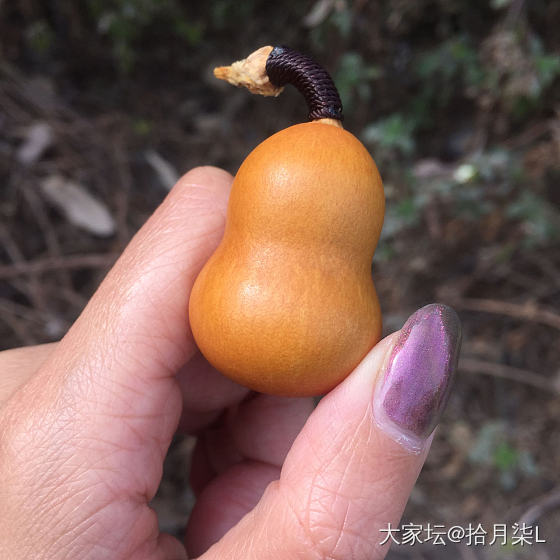 真葫芦~假葫芦~_葫芦木文玩