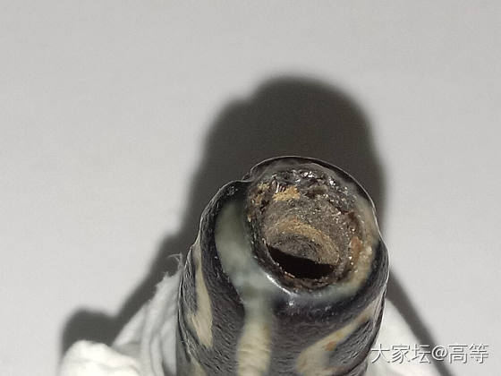 这几个天珠拜托懂的坛友帮看一下_天珠