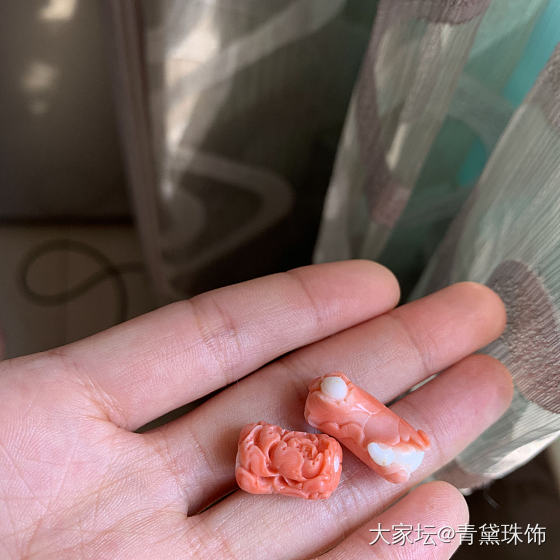 啦啦啦啦…_珊瑚