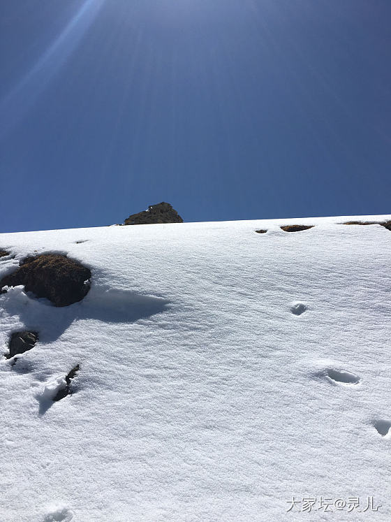 戴着麻花去雪山_手镯银