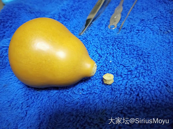 一个缩小版“酒葫芦”制作_手工diy文玩葫芦