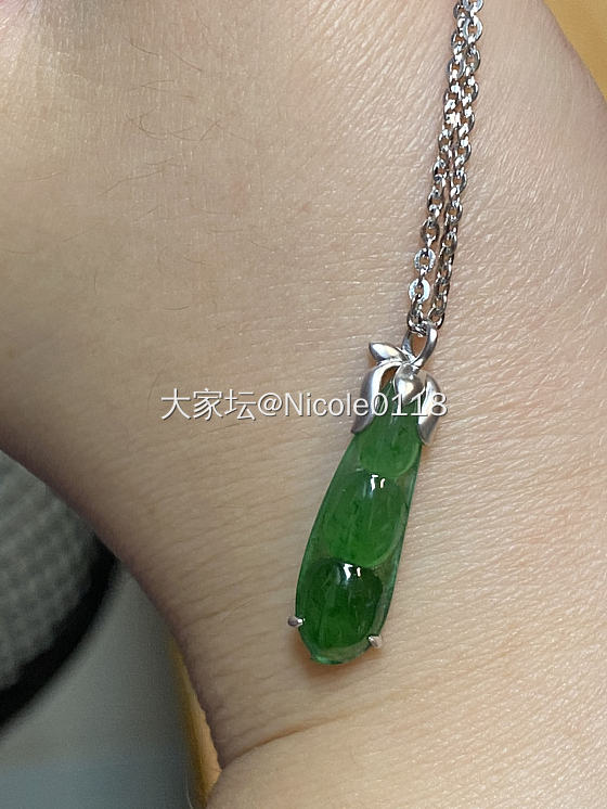 新入小豆荚一枚_翡翠