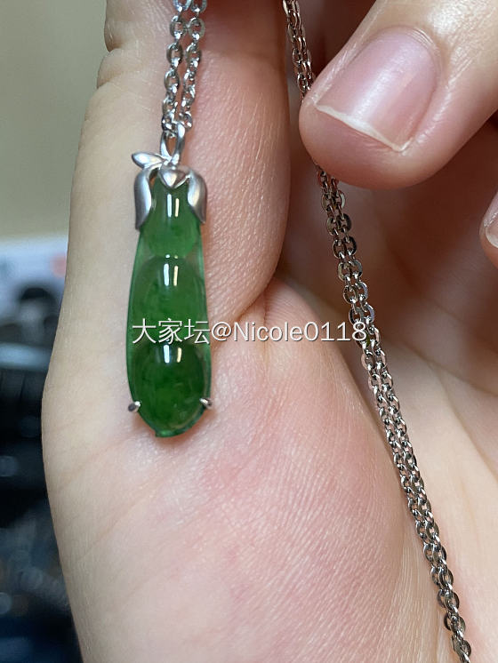 新入小豆荚一枚_翡翠