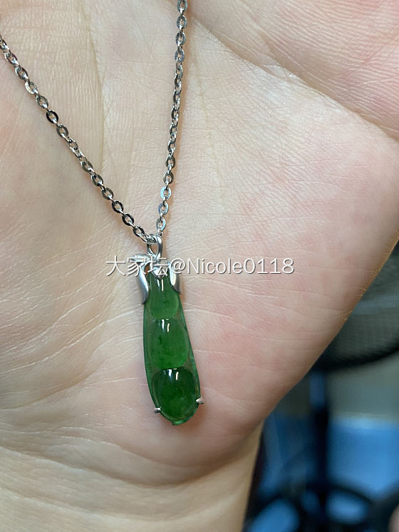 新入小豆荚一枚_翡翠
