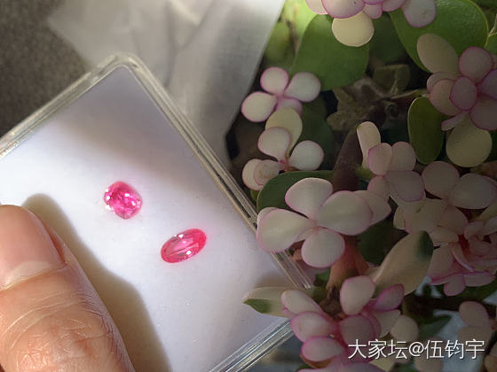 浅粉对决：越南top仙粉VS纳米亚浅粉_尖晶石
