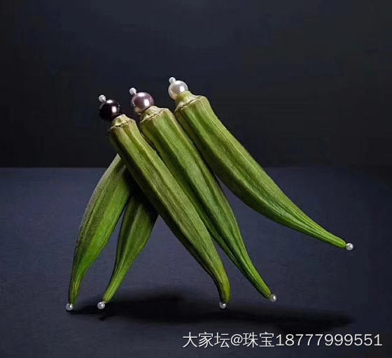 被摄影师玩疯珍珠_珍珠