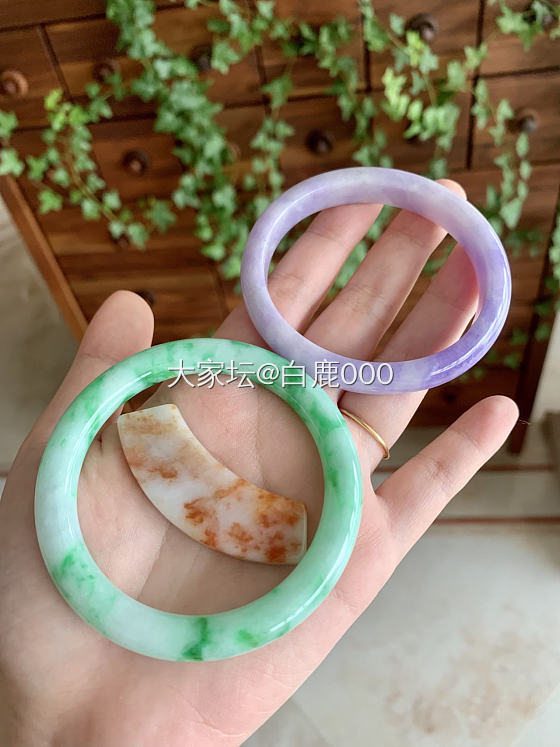 太爱翡翠的色彩_手镯翡翠