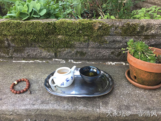 花间一盏茶，春天的味道。_茶道