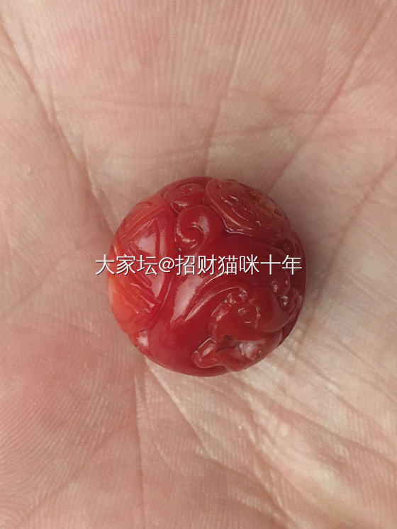 珊瑚_珊瑚