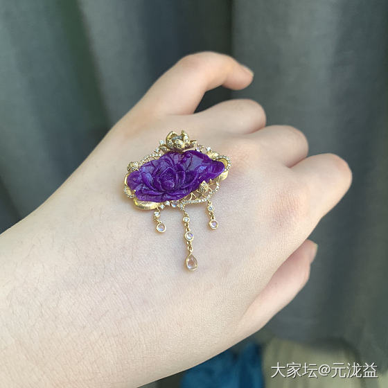 一池荷花～～_舒俱来