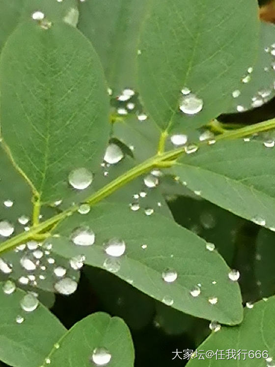 雨后的乡村空气清新，真是好地方远离喧嚣。