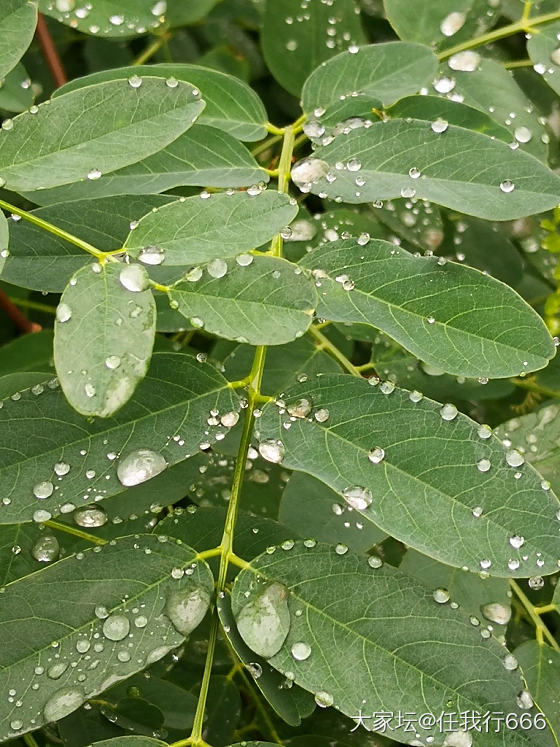 雨后的乡村空气清新，真是好地方远离喧嚣。