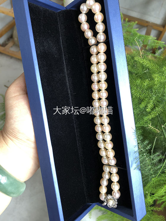 Akoya珍珠项链_珍珠