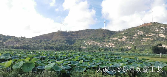 开车两小时，游玩半个钟，不愧是我_景色闲聊