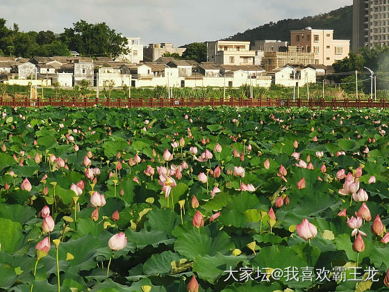 开车两小时，游玩半个钟，不愧是我_景色闲聊