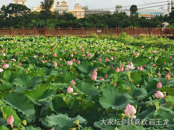 开车两小时，游玩半个钟，不愧是我_景色闲聊