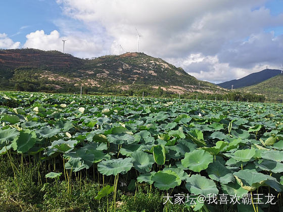 开车两小时，游玩半个钟，不愧是我_景色闲聊