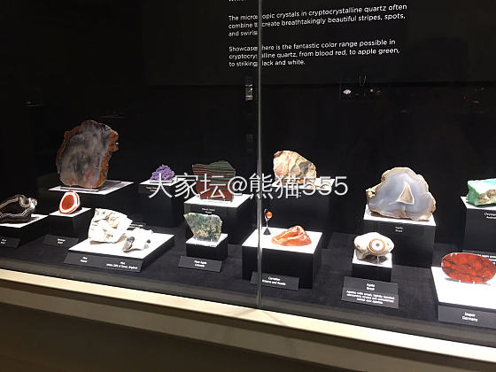 卡耐基梅隆自然和历史博物馆
矿物和珠宝展区