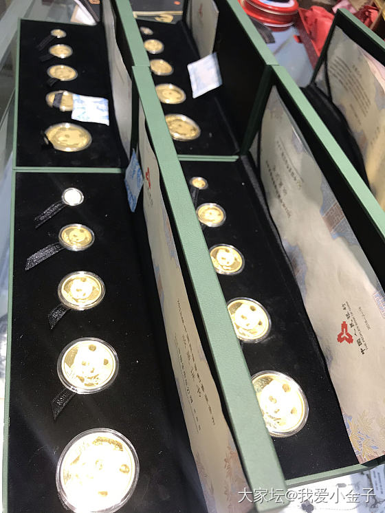 收了一堆熊猫金币_金币