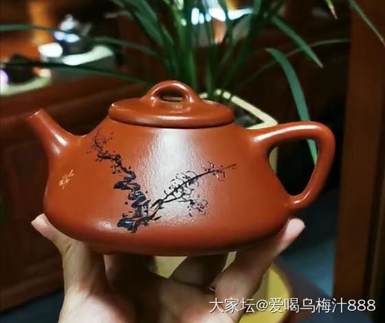 新得两把壶_茶道