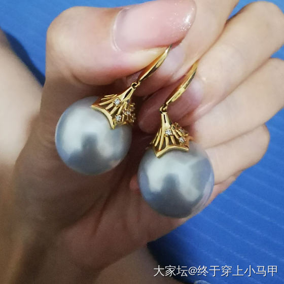 【求知贴】迷上澳白以后_珍珠