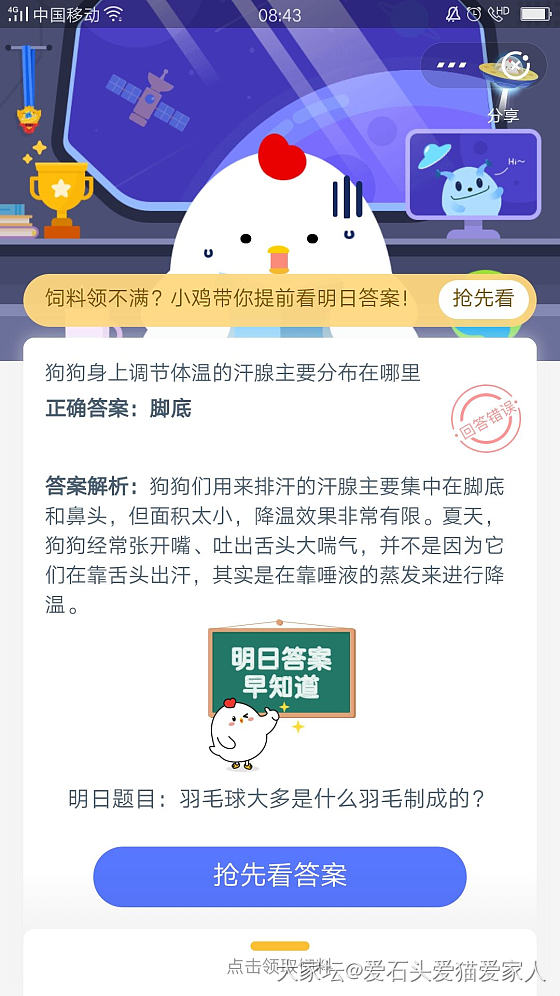 支付宝里喂小鸡_支付宝