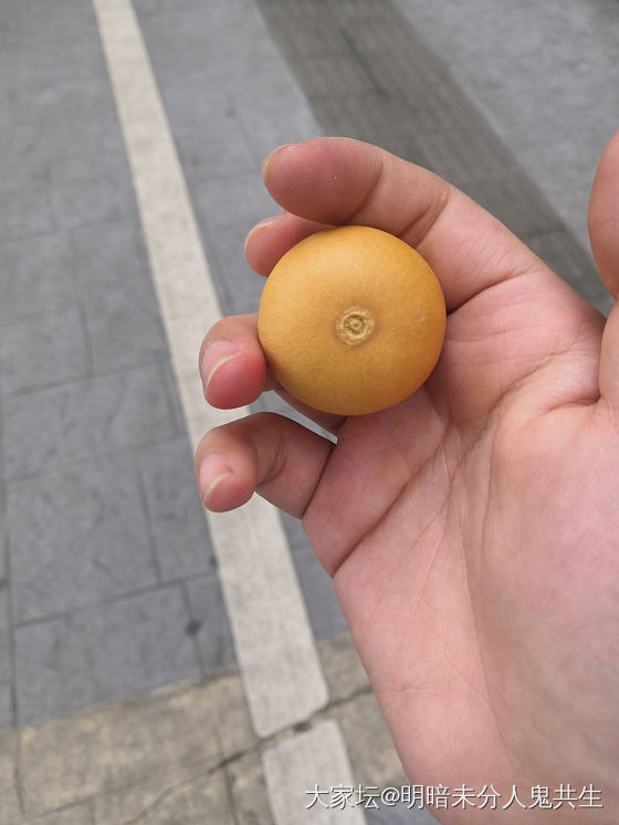第一个葫芦_葫芦