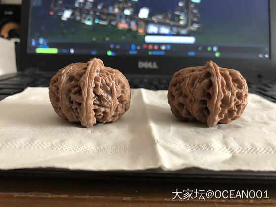 一定是夹过的吗？不是自然生长的矮桩吗？_核桃