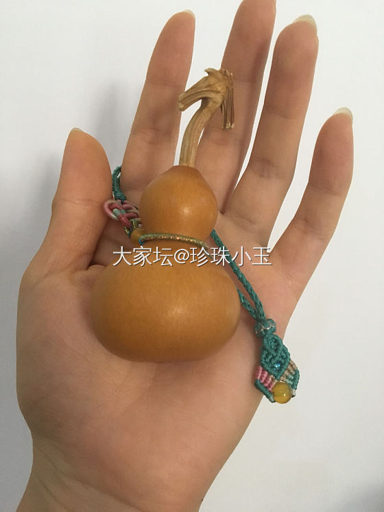 仙仙仙仙图_葫芦