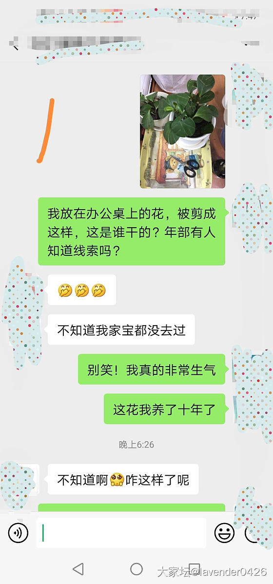 心爱的绿植被剪，到办公室群里质问，难道是我反应过度吗？_大家谈职场