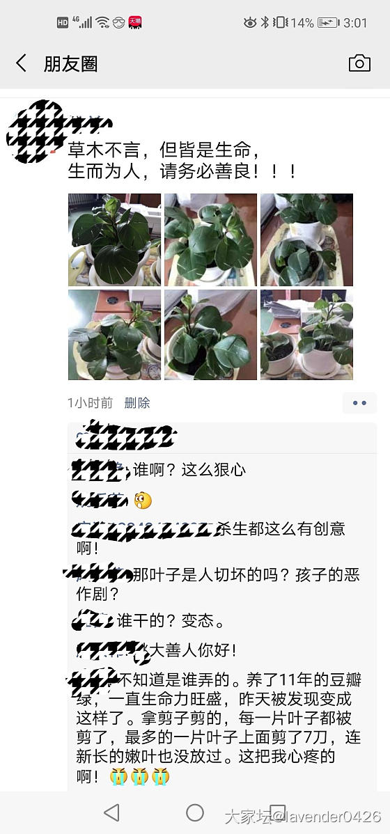 心爱的绿植被剪，到办公室群里质问，难道是我反应过度吗？_大家谈职场