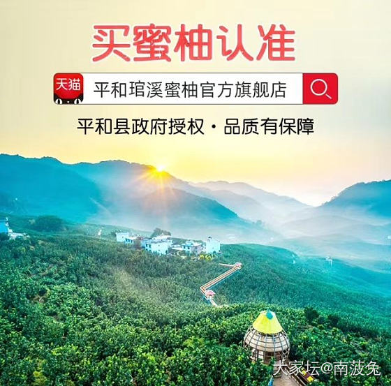 柚子有人爱吃吗😂