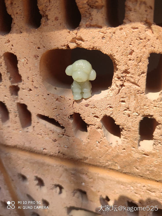 一只小泰迪的旅行_花件和田玉