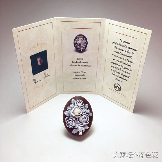 cameo的理想尺寸_贝壳