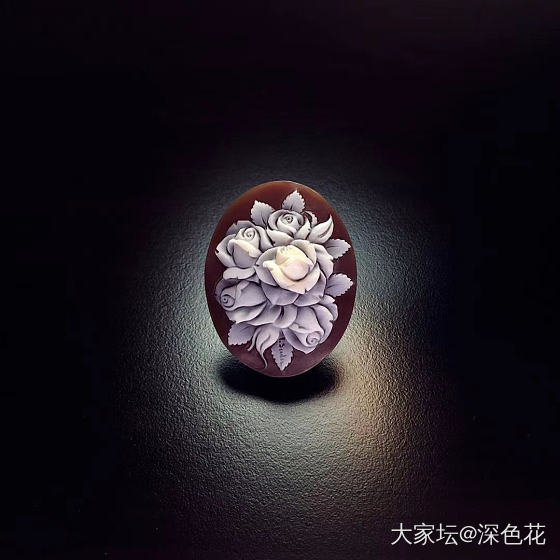 cameo的理想尺寸_贝壳