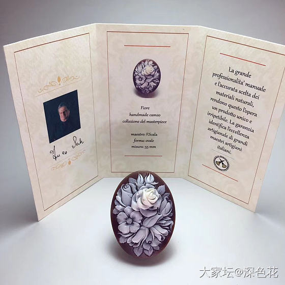 cameo的理想尺寸_贝壳