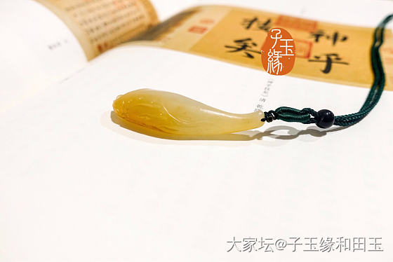 这是一支优雅的玉兰阿～_和田玉