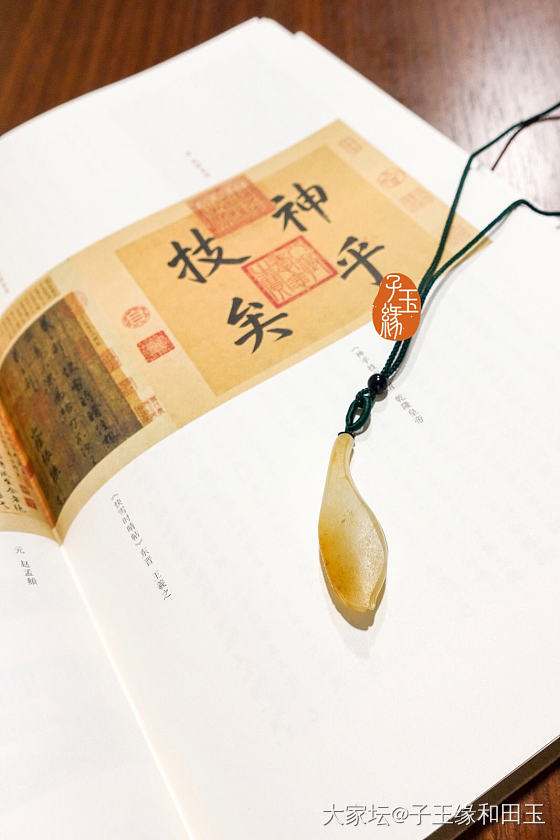 这是一支优雅的玉兰阿～_和田玉
