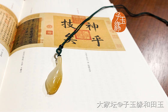 这是一支优雅的玉兰阿～_和田玉