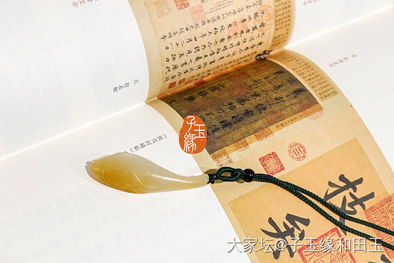 这是一支优雅的玉兰阿～_和田玉